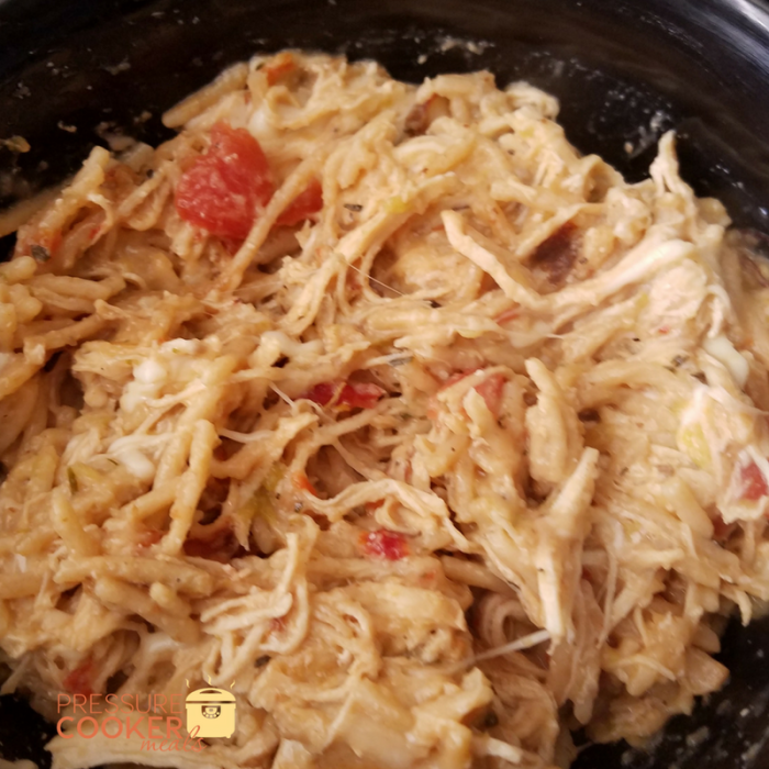 Instant Pot Chicken Spaghetti is a great easy to eat meal that everyone will love! It is full of flavor, budget friendly and delicious!