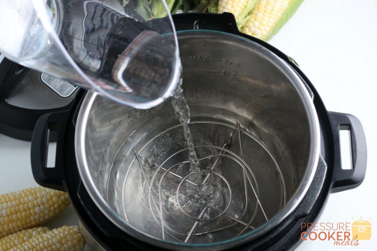 Pouring water into the Instant Pot